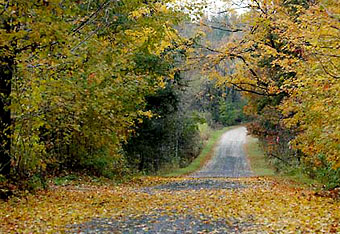 Back road in autumn along the apple route and the USA Canada border south of Montreal