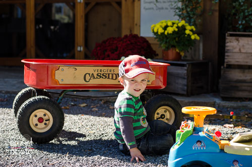 boy with wagon in apple orchard