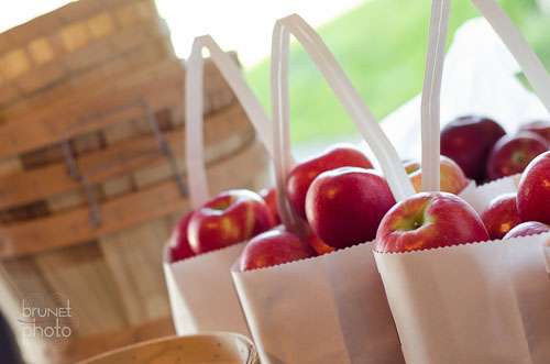 sacs de pommes