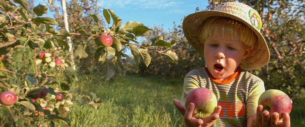 Boy with apples Luke Norton